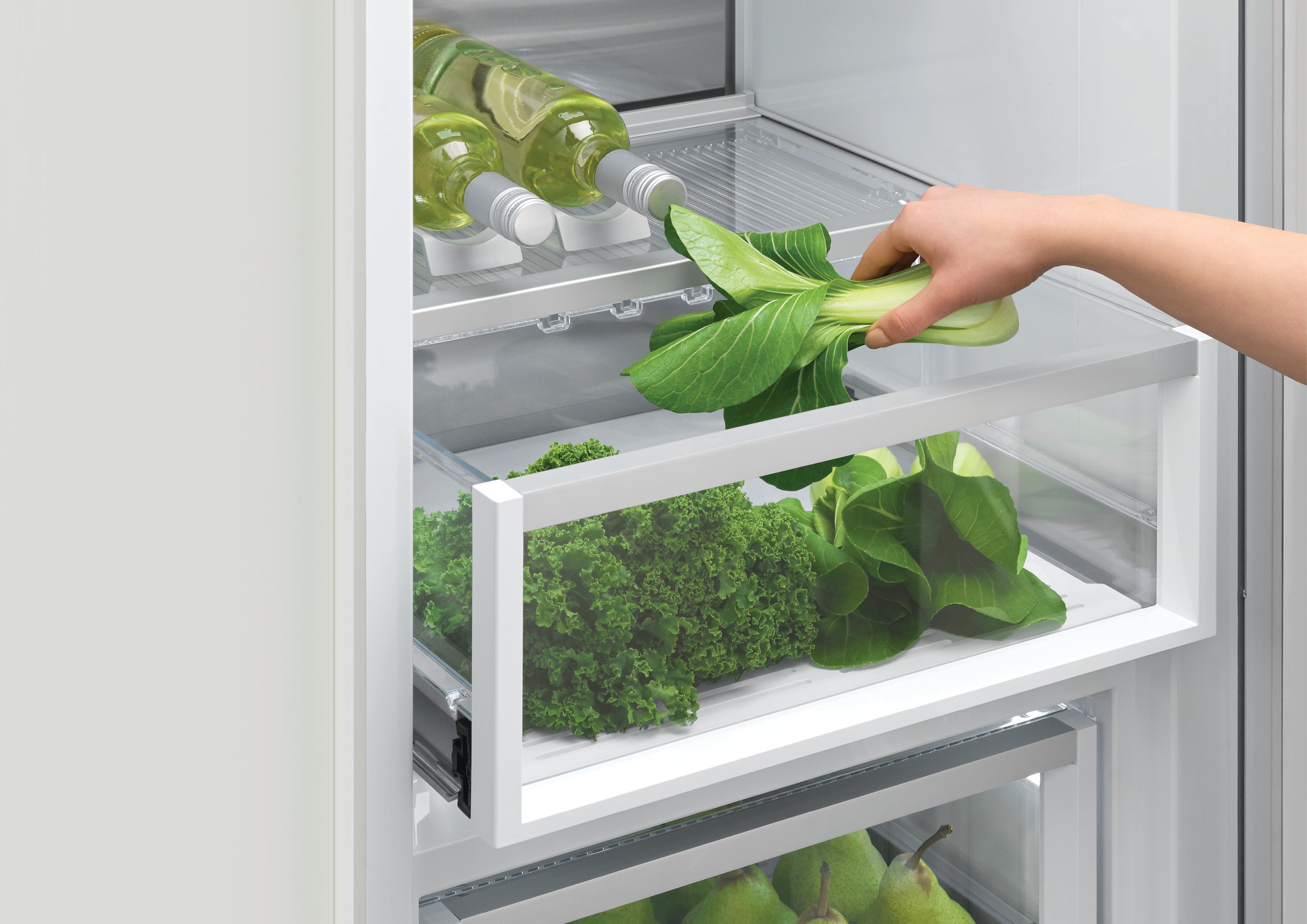 How to Organize Your Refrigerator for Maximum Freshness