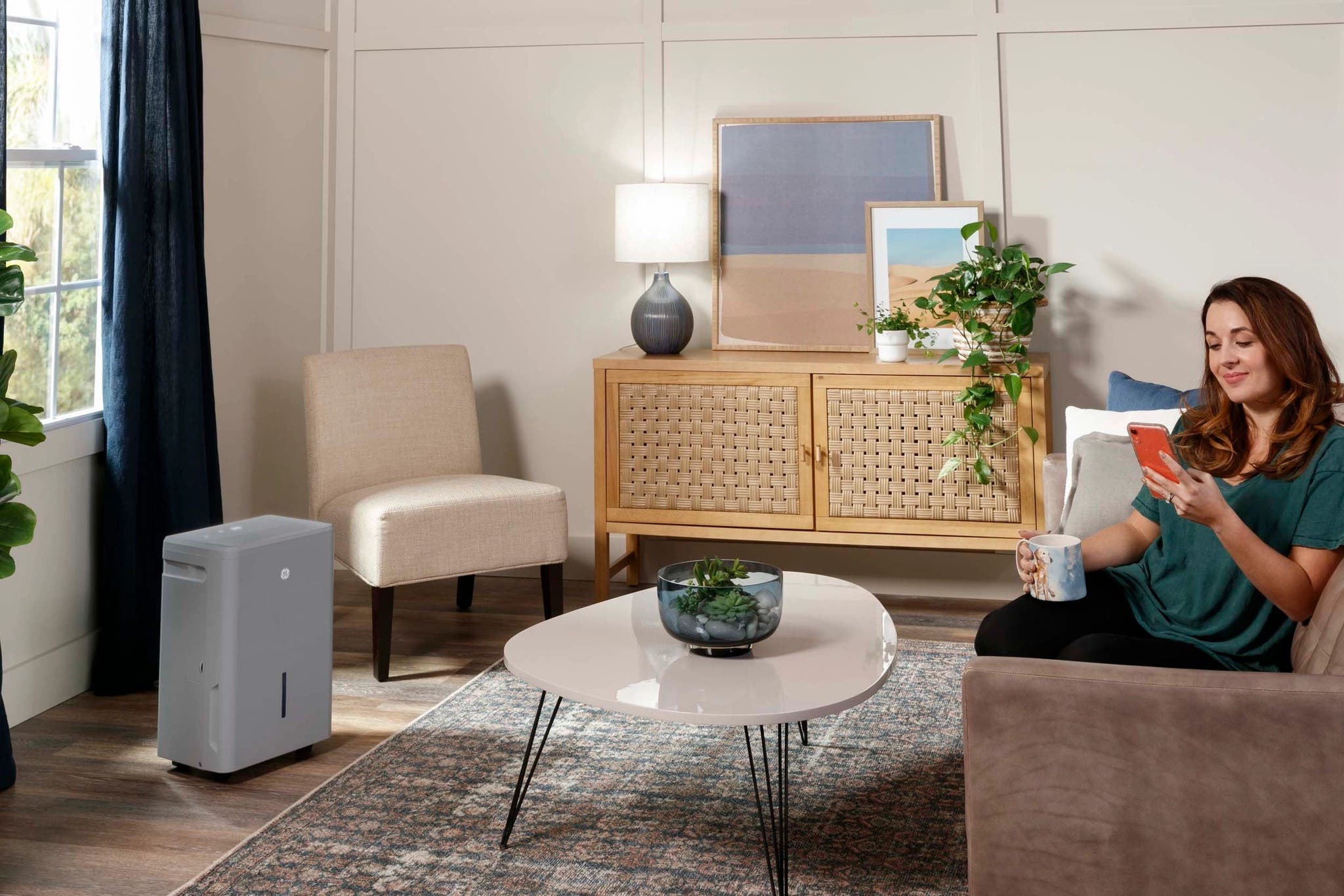 Dehumidifiers vs. Air Conditioners: What’s the Difference?