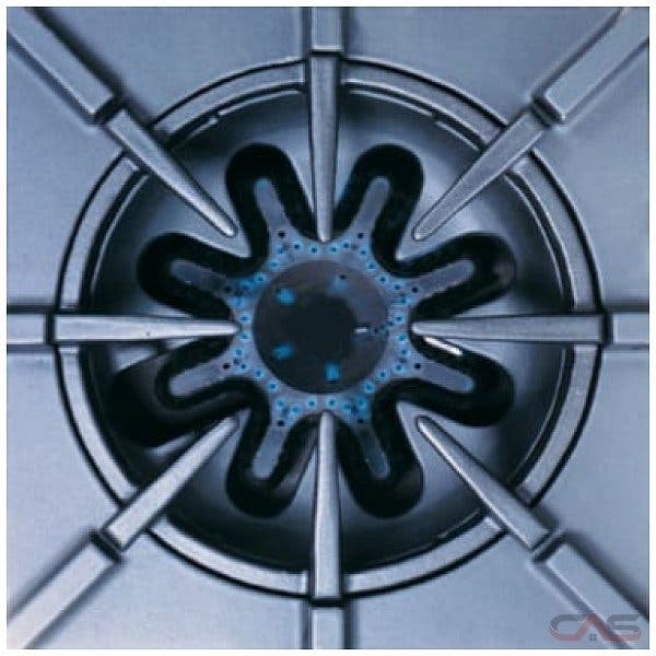 Bluestar RNB606FTV2 Nova And Simmer Burners