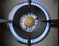 Bertazzoni PROF244GASX 19,000 Btus Power Burner