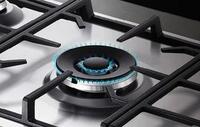 Fisher Paykel CG365DLPRX2N Dual Wok Burner