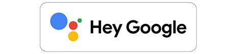 Samsung Electronics QN43LS05TAFXZA Google Assistant