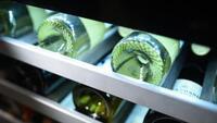 Avanti WCSE47R3S Wine Cooler Led Lighting