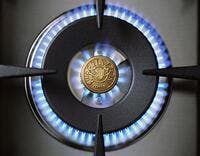 Bertazzoni MAST486GGASNEELP 19,000 Btus Power Burner