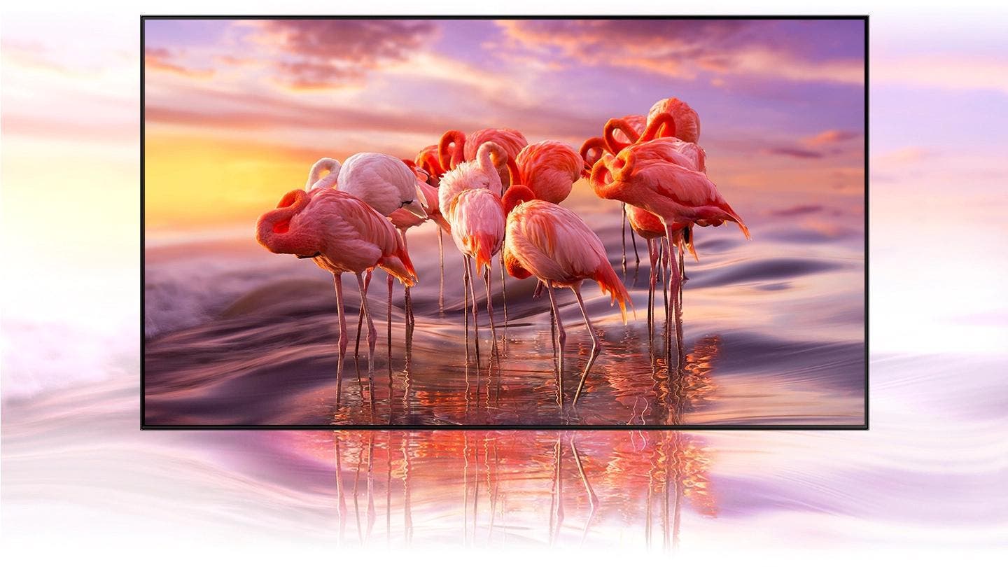Samsung Electronics QN65Q60AAFXZA A Billion Stay-true Shades Of Breathtaking Color