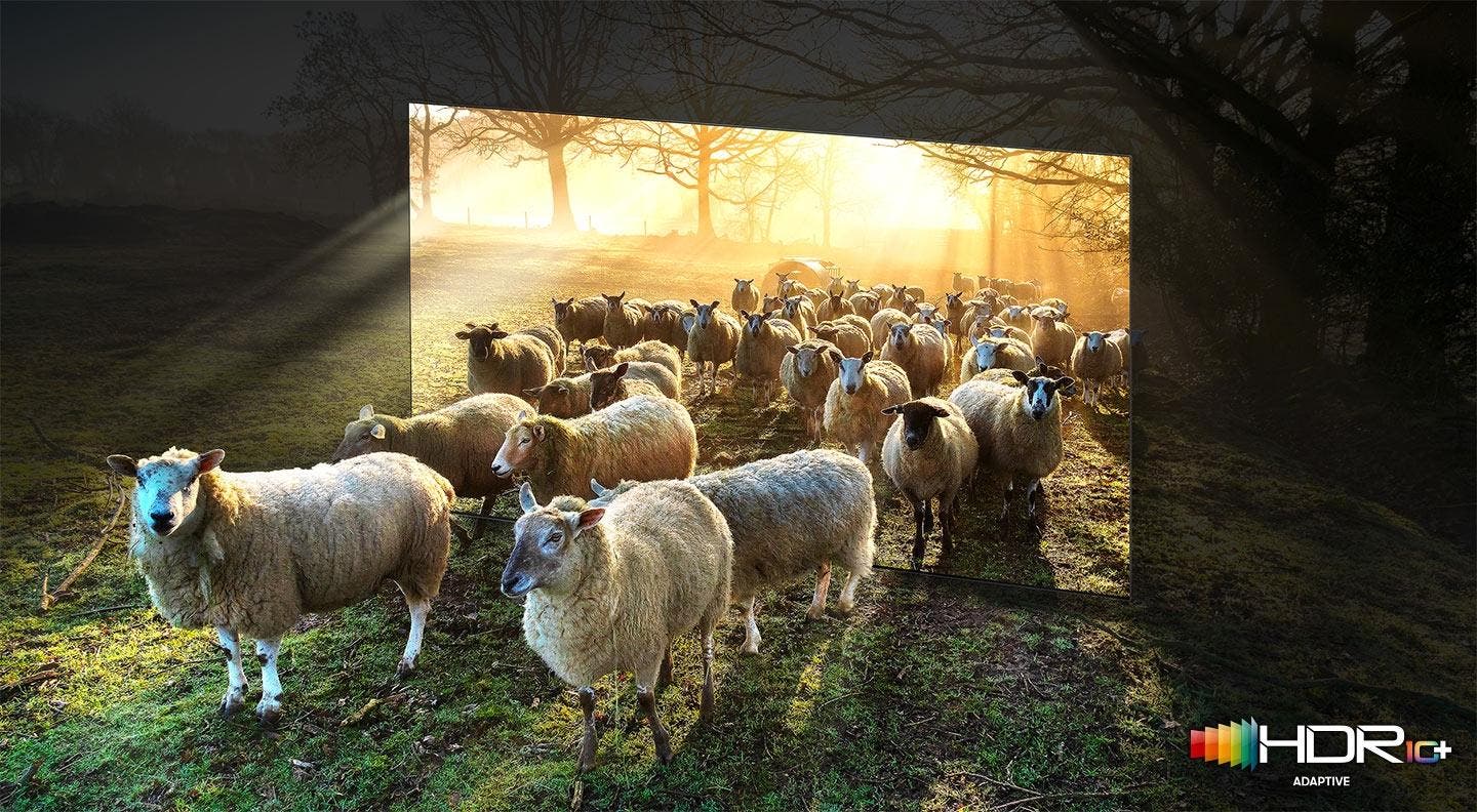 Samsung Electronics QN75QN900AFXZA Witness Extreme Brilliance Across The Spectrum For Lifelike Colors