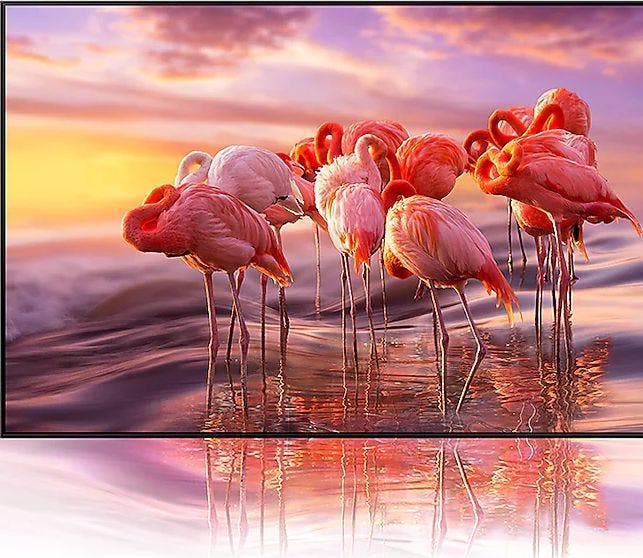 Samsung Electronics QN65QN800AFXZA A Billion Shades Of Color With Quantum Dot