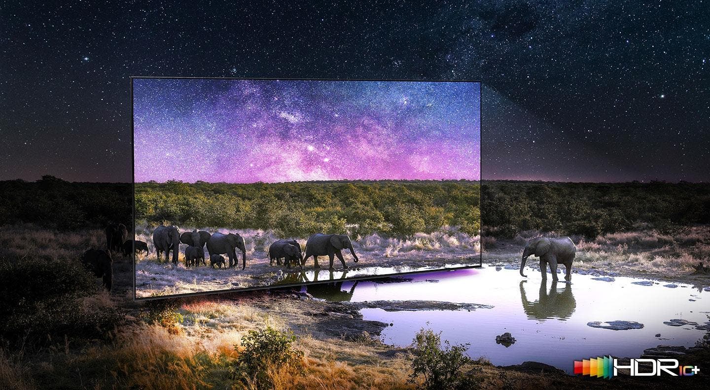 Samsung Electronics QN65QN85AAFXZA Vivid Colors That Jump Off The Screen Provide Dynamic Contrast