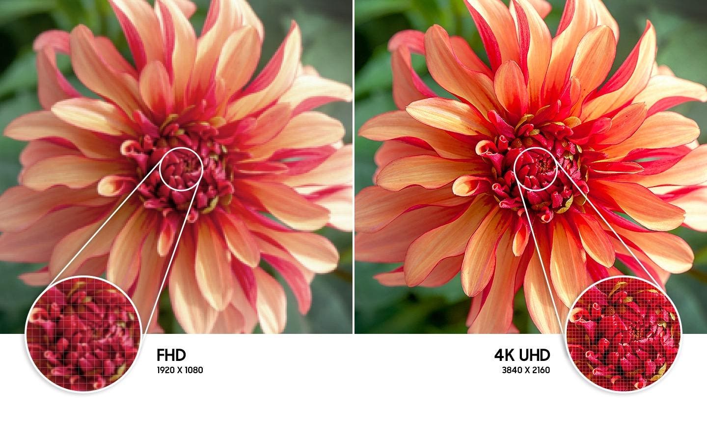 Samsung Electronics UN65AU8000FXZA Crisp Details In Every Image