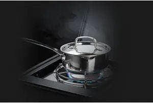 Napoleon R425SBPK1OB Range Side Burner