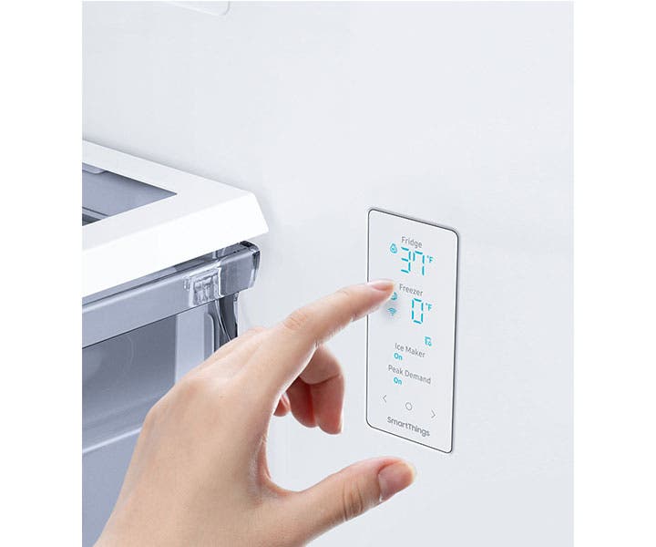 Samsung RF22A4121WW Ada-compliant Display