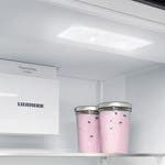 Liebherr IC5110IMPC Led Ceiling Lighting