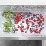 Liebherr SIF5181 Freezer Tray