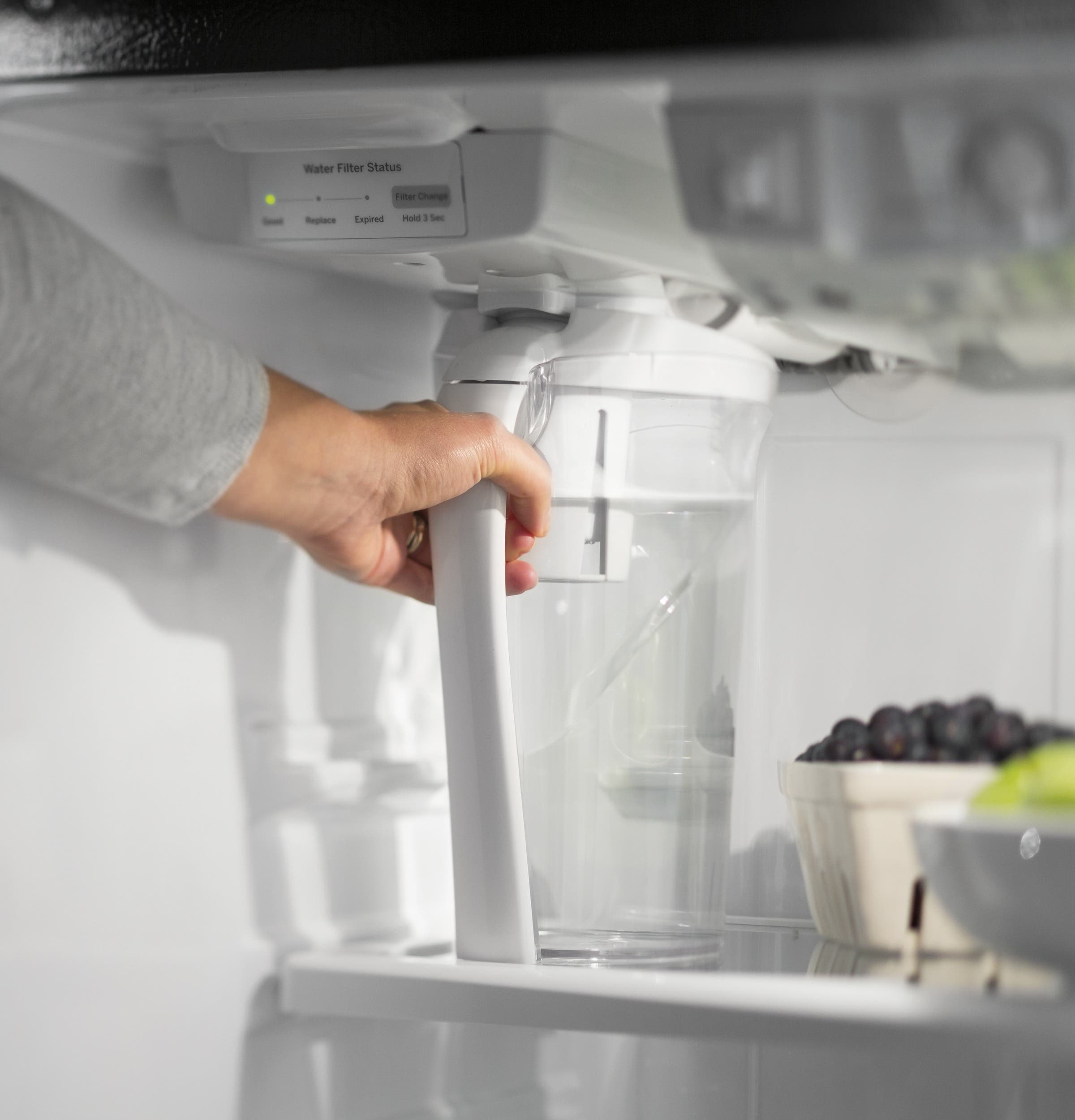 GE G6S28TSLSS Autofill Pitcher