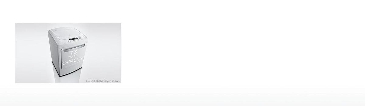 LG DLE1001W Big Time Saver