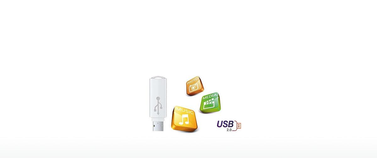 LG DP132 Usb 2.0 Playback