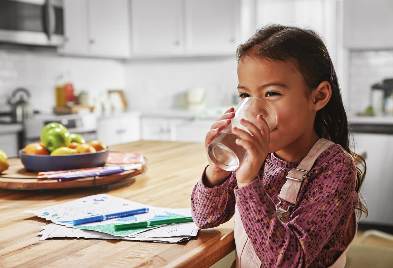 Frigidaire FRIGCOMBO4 Water Filter Reduces Up To 99% Of Contaminants