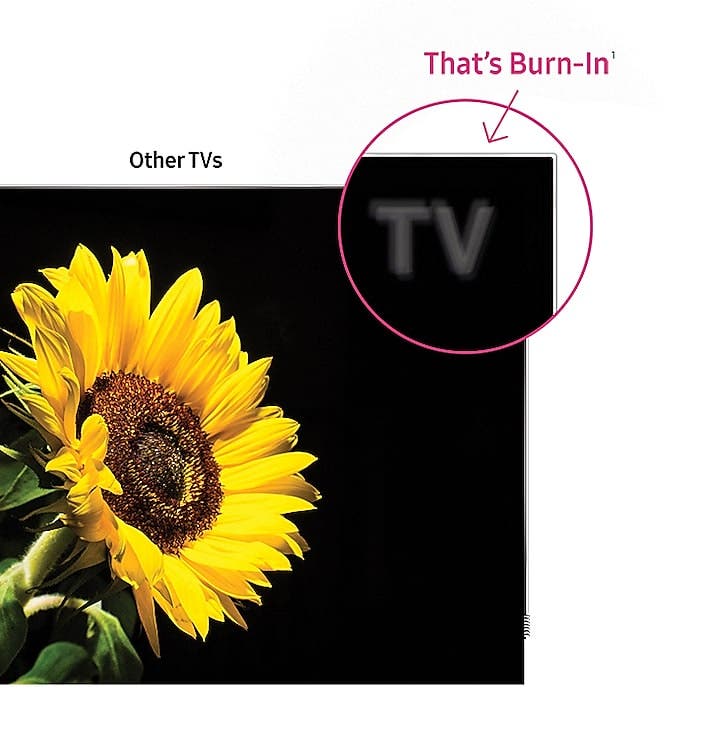 Samsung Electronics QN88Q9FAMFXZA Burn-In* Free for life, Guaranteed**