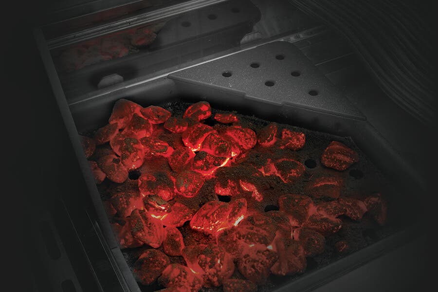 Napoleon R425SIBNSS Cast Iron Charcoal Tray (optional)
