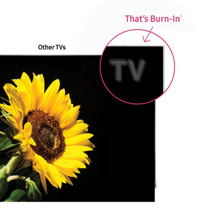 Samsung Electronics QN65Q7FAMFXZA Burn-In* Free for life, Guaranteed**