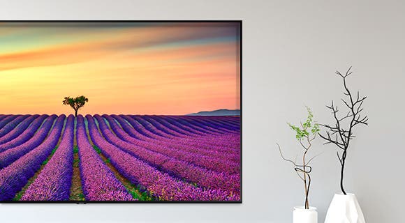 Samsung Electronics QN82Q90RAFXZA Artworks