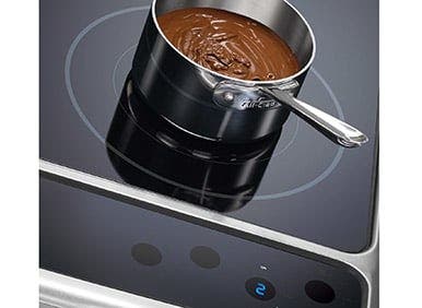 Electrolux EI30IF40LS Professional Temperature Control
