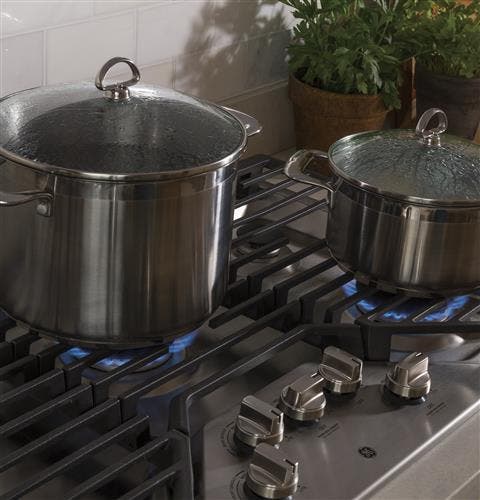 GE JGP5030SLSS Max Burner System