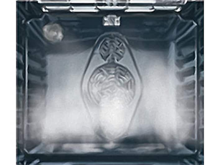 Samsung NE59K3310SS Steam Clean