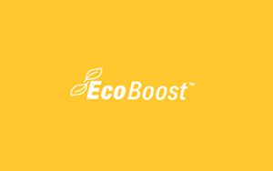 EcoBoost Option
