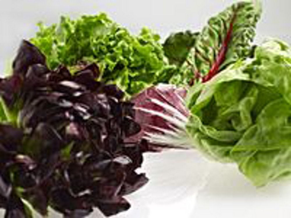 KitchenAid KRFC302EPA 36 Inch Counter Depth French Door Refrigerator