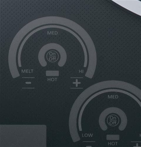 Monogram ZHU30RSJSS Melt Setting
