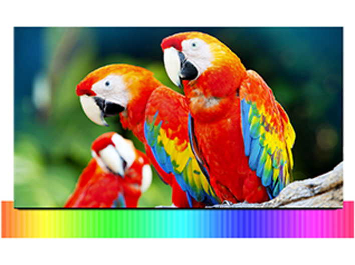 Samsung Electronics UN65JS9000FXZA Nano Crystal Color