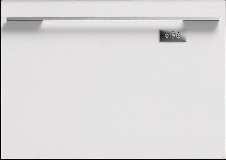 Fisher Paykel DD24SI6 Requires Custom Panel and Handle