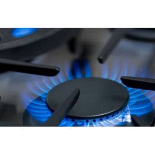 Capital Indoor GSCRCKLN Gas Self Clean Range Conversion Kit