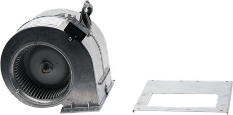 Wolf 810991 