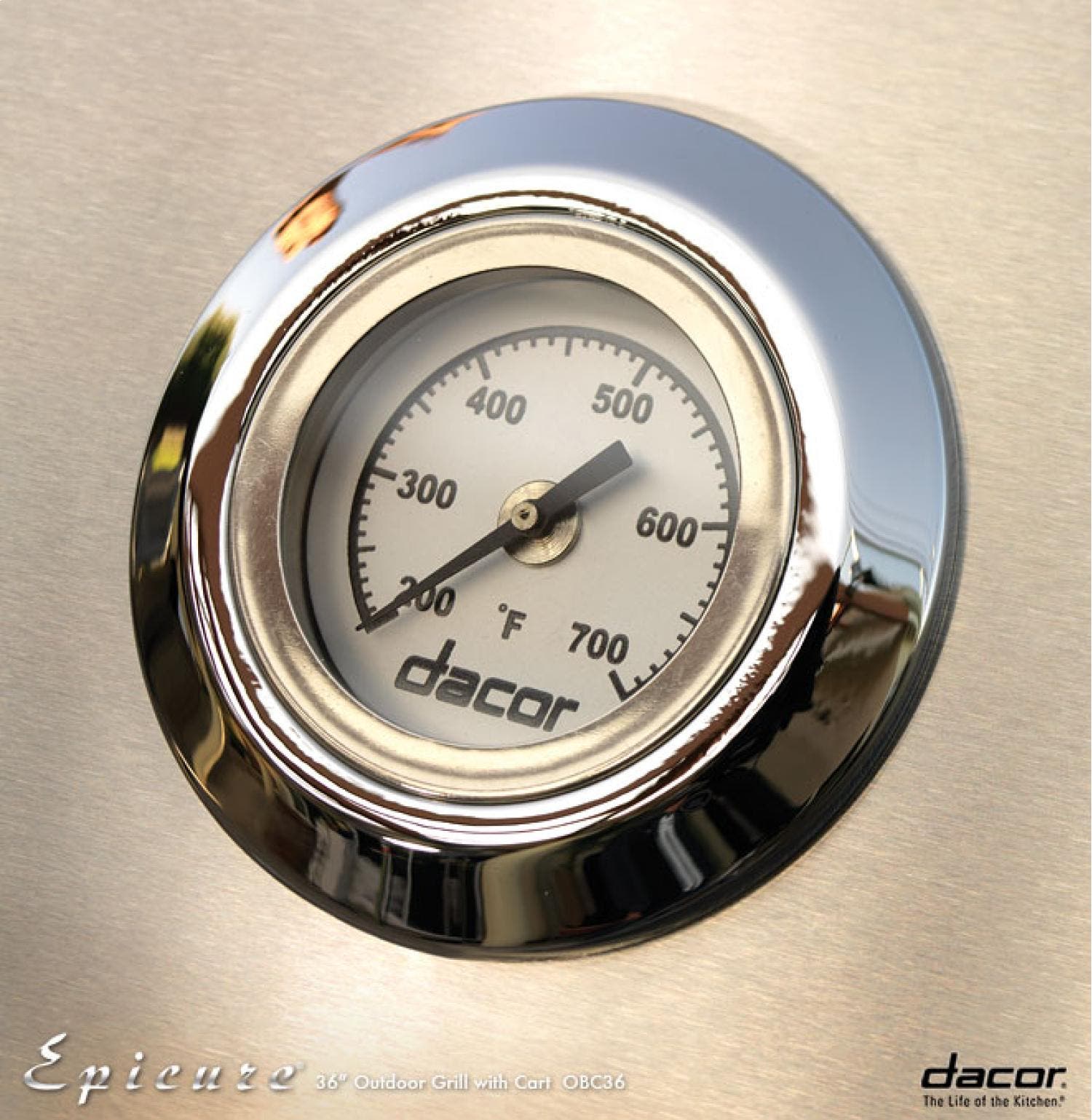 Dacor OBC36 Stainless Steel