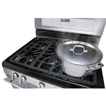 Frigidaire Professional FPGF3081KF 30" Freestanding Gas Range