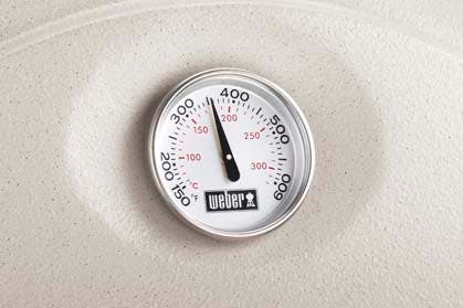 Weber 426001 Liquid Propane Gas