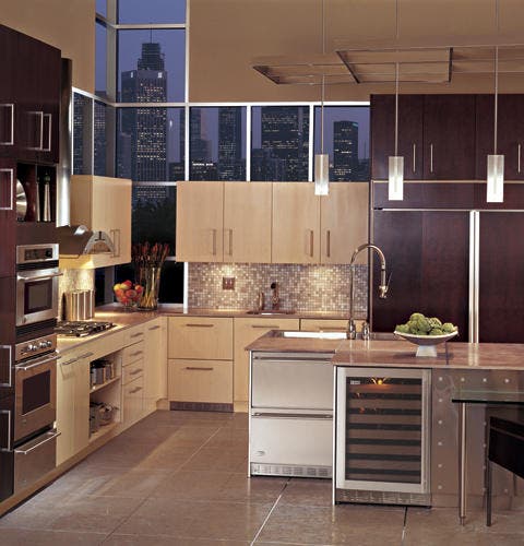 Monogram ZIDS240WSS Stainless Steel
