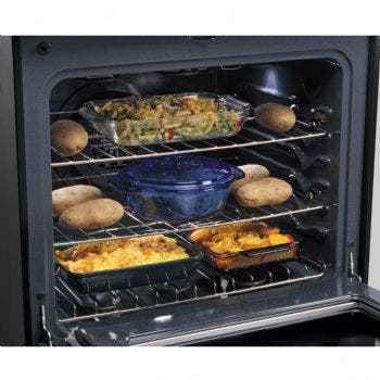 Frigidaire PLEFMZ99EC Stainless Steel