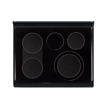 Frigidaire Professional PLEFZ398GC 30" Freestanding Electric Range