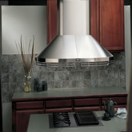 Best FEXTIS102SS Decorative Flue Extension