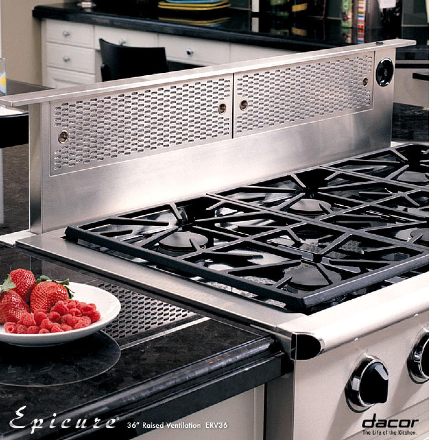 Dacor ERV48 Stainless Steel