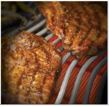 Napoleon EG215 19" Portable Countertop Electric Grill