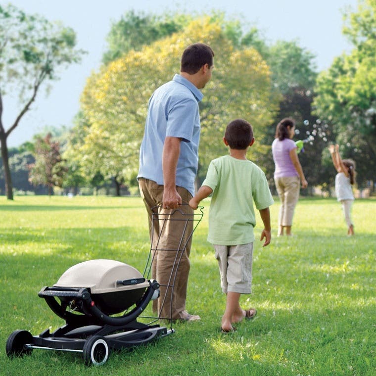 Weber 516002 Titanium