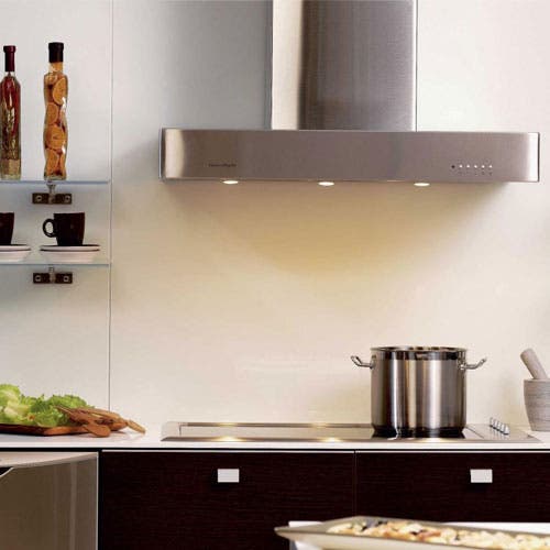 Fisher Paykel RH361 Stainless Steel