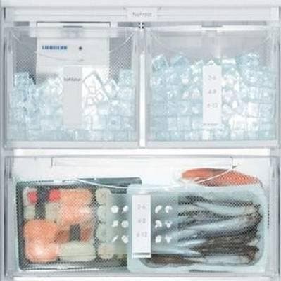 Liebherr BF1061 24 Inch Built-in Bottom-Freezer Refrigerator