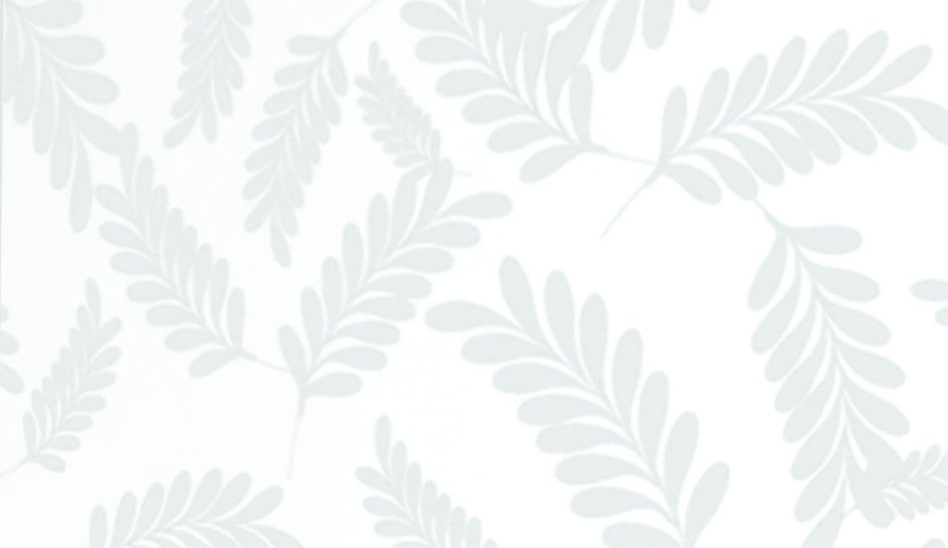 Zephyr AHG00WH White Glass