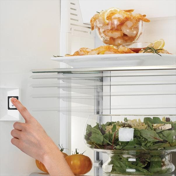 Thermador T36IB800SP 36 Inch Built-in Flush Bottom Freezer Refrigerator