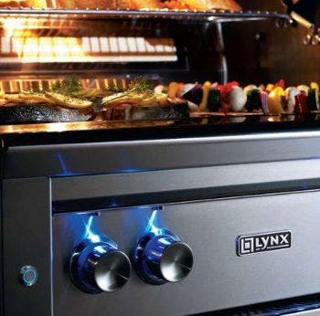 Lynx L42FR1 Stainless Steel